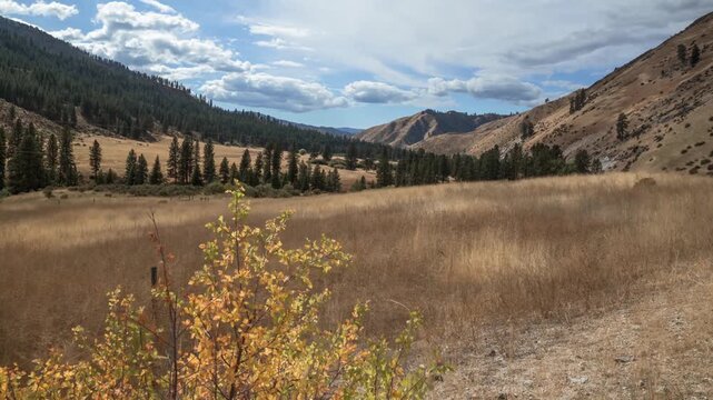 Scenic view of Banks-Lowman Road canyon landscape