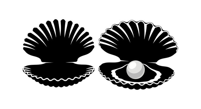 Seashells With Pearl Silhouette Against White Background seashell shell mollusk