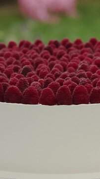 Vertical video. Fresh raspberry wedding cake prepared for guests at a stylish garden wedding reception.