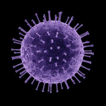 High-resolution 3D visualization of a coronavirus particle with detailed spike proteins against a black background