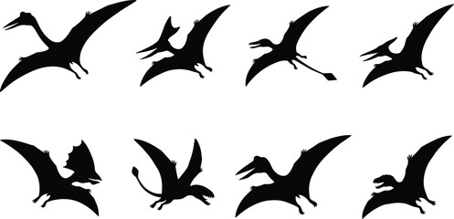 Pterodactyl Dinosaur Silhouette Bundle with Flying Prehistoric Reptile Poses for Jurassic and Educational Design Projects © Nahar999