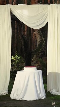 Vertical video. Wedding cake beside a ceremony arch draped with white fabric in a pine forest venue.
