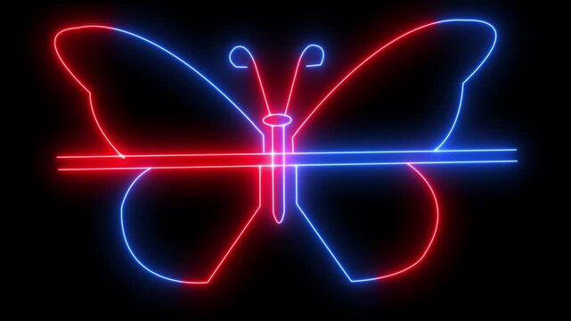 Neon Butterfly, one line drawing animation, video clip with alpha channel. Butterfly drawing with one continuous line. Single line design of beautiful butterfly for business, social