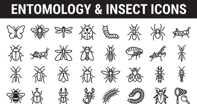 Entomology and insect icons set featuring various bugs and arachnids in a clean minimalist line art style