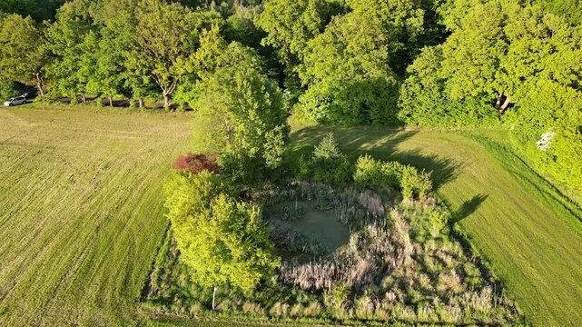 Biotop in einem Feld