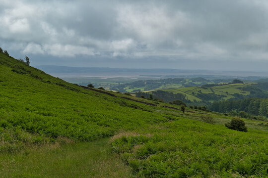 A vast green hillside covered in ferns slopes down to a valley with distant hills under a cloudy sky in Cumbria - North West - UK