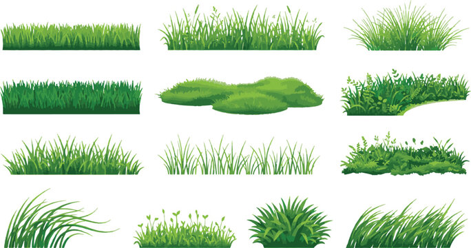 Realistic Green Grass Border Vector Collection