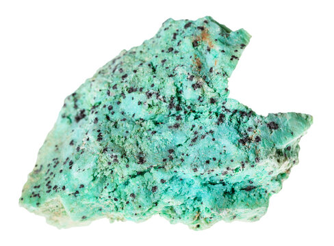 specimen of mineral from geological collection - armenian natural chrysocolla rock with black libethenite crystals isolated on white background from Alaverdi, Armenia