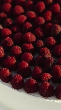 Vertical video. Close-up of fresh raspberries covering a wedding cake with smooth white frosting.