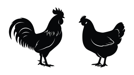 Rooster And Hen Silhouettes On White Background © SHAMIM