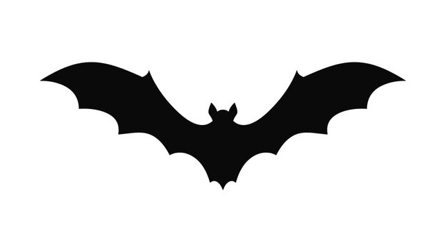 Flying bats silhouette on front view clean white background with outstretched wings for Halloween or horror visual effects