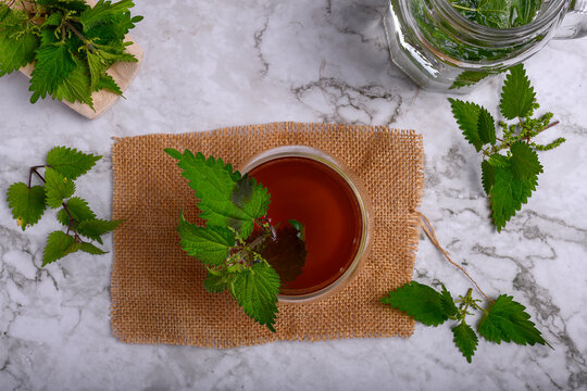 Nettle herbal tea in a double wall glass on burlap and marble surface, fresh stinging nettle leaves around a jar with water, concept of healthy detox beverage and natural medicine