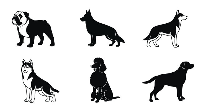 Dog breed silhouettes in black and white vector illustration silhouette