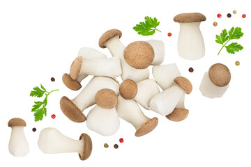 Fototapeta premium King Oyster mushroom or Eringi isolated on white background . Top view. Flat lay
