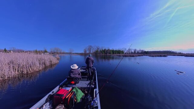 Boat with anglers sailing along reed beds under clear sky. View at vegetation and water of Canadian marshes during fishing. Boating at sunny summer day.