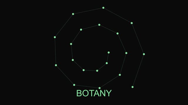 Botany spiral connection network minimalist science and nature concept animation 4k