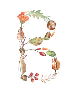 Alphabet letter B created from autumn elements: leaves, acorns, berries, and twigs; isolated on transparent background. For monograms, stickers, school cards, lettering, and more
