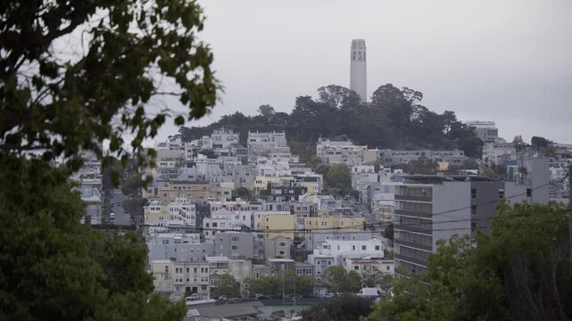 Coit Tower Atop Telegraph Hill Framed by Trees And Overcast Sky In San Francisco
