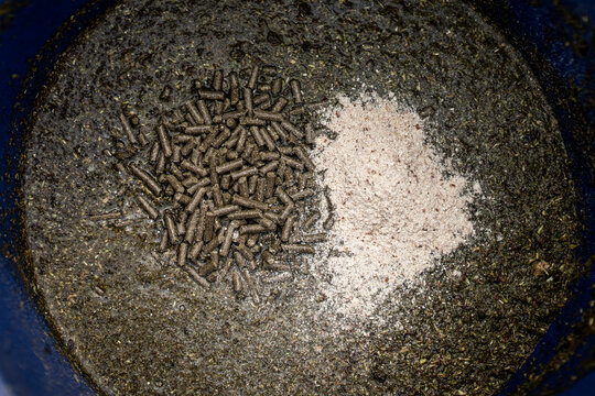Top-down view of mixed animal feed in a blue plastic bucket with brown pellets and a patch of white powdered supplement for livestock feeding