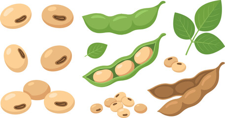 Naklejka premium Fresh organic soybean vector illustration set with raw soy beans green pods edamame seeds pile dry shells and green leaves isolated on white background