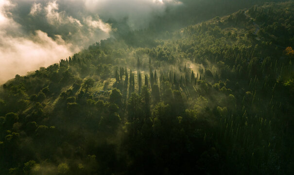 hill in misty morning