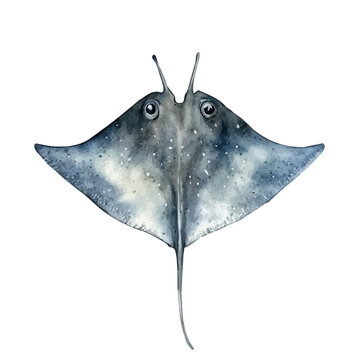 Stingray, playful watercolor vector depicting lively antics and expressive gestures, isolated on a white background.