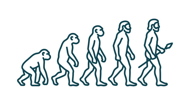 Linear sequence of human evolution from ape to man.