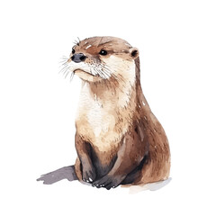 watercolor of Otter vector painting, isolated on a white background. © zenvor
