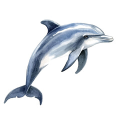 Fototapeta premium Dolphin, colorful watercolor painting with bold outlines, isolated on a white background.