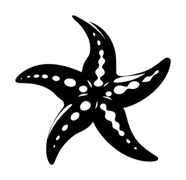 PNG Black starfish silhouette illustration.
