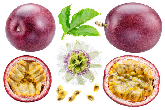 Fresh ripe passion fruit with half passionfruit showing juicy pulp and seeds, green leaves and passion fruit flower, isolated on white background with clipping path.