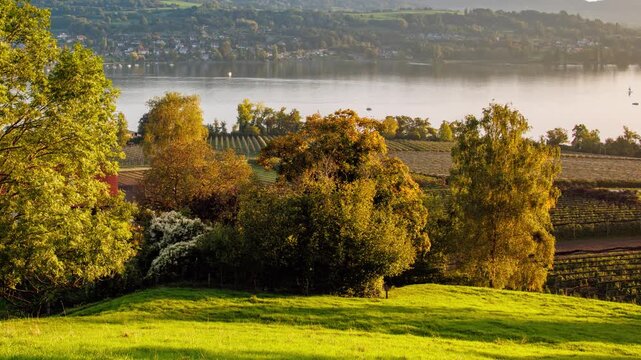 Beautiful 4K UHD Time-lapse of Sunlight and Shadows Over Lakeside Vineyards