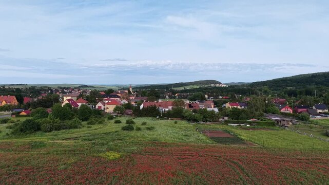 Karlovy Vary Region, Czech Republic - A field of red poppies