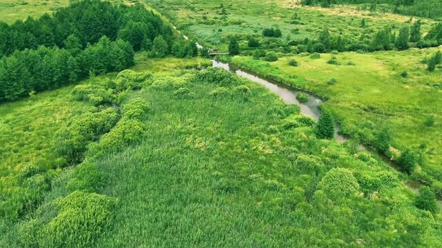 a natural ecosystem of wetlands or floodplain meadows.
