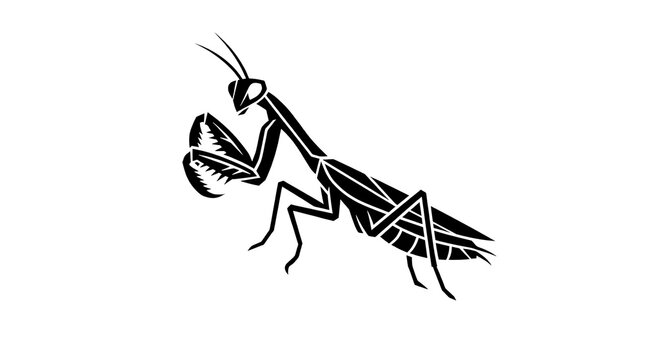 Black and white stylized vector illustration of a praying mantis insect isolated on a white background.