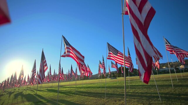 Hundreds of American flags wave gracefully in the wind on a lush green hillside field during golden hour sunset, with rolling mountains in the background under a clear blue sky at a memorial tribute.