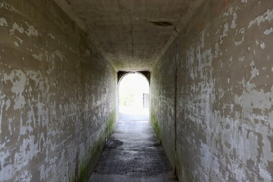 A view inside the pathway tunnel.