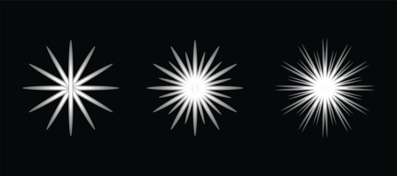 Set of Colorful Fireworks Star Burst Vector Illustration for Holiday Celebration Night Sky Festival Background Design and New Year Christmas Wallpaper.