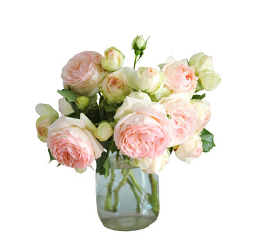 Elegant Bouquet of Soft Pink Garden Roses in Glass Vase Isolated on White Background
