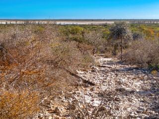The Trail to Malazamanga Cave, Tsimanampetsotsa National Park, Madagascar © Guy Bryant