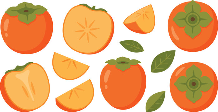 Persimmon vector illustration set featuring whole fresh orange fruits half slices cut pieces and green leaves isolated on a white background