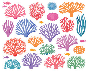 Colorful coral reef elements with fish and seaweed on white background  ocean illustration © Siddhartha