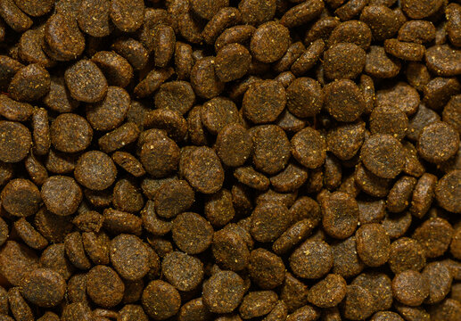 pet food static indoor top-down neutral brown yellow commercial natural light clean background copy space editorial educational visual story design resource web banner poster copyspace warm.
