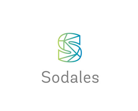 Geometric letter s logo featuring a complex network of lines with green to blue gradient. This modern tech logotype for professional branding, innovative data solutions and digital business identities