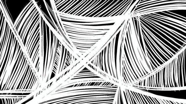 Thick white spider web spreads across a black background. Hand-drawn geometric trap texture in Full HD.