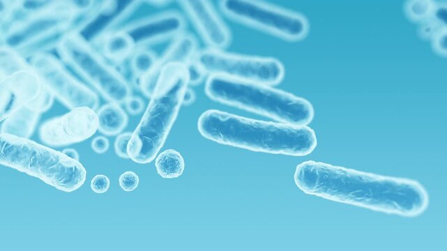 Enterobacteriaceae, gram-negative rod-shaped bacteria, part of intestinal microbiome and causative agents of different infections, 3D rendering. Escherichia coli, Klebsiella, Enterobacter and other	
