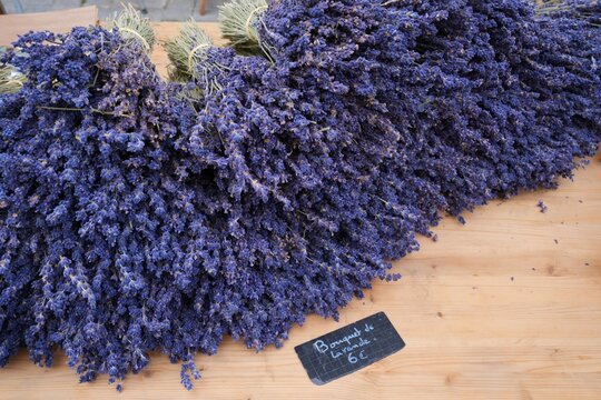 Bunches of fragrant dried lavender flowers in Provence