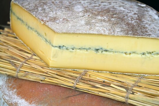 Wheel of fresh morbier cheese at a farmers market in France