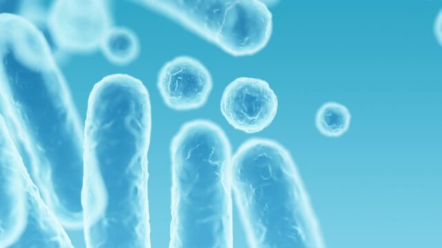 Enterobacteriaceae, gram-negative rod-shaped bacteria, part of intestinal microbiome and causative agents of different infections, 3D rendering. Escherichia coli, Klebsiella, Enterobacter and other	