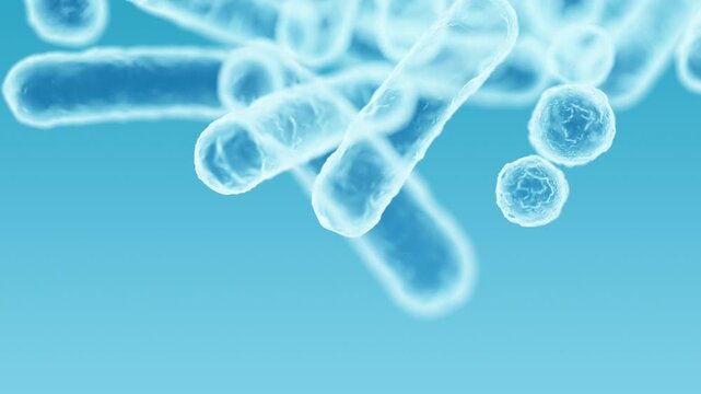 Enterobacteriaceae, gram-negative rod-shaped bacteria, part of intestinal microbiome and causative agents of different infections, 3D rendering. Escherichia coli, Klebsiella, Enterobacter and other	